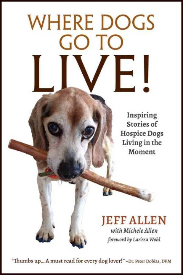 Where Dogs Go to Live book cover featuring dog with stick.