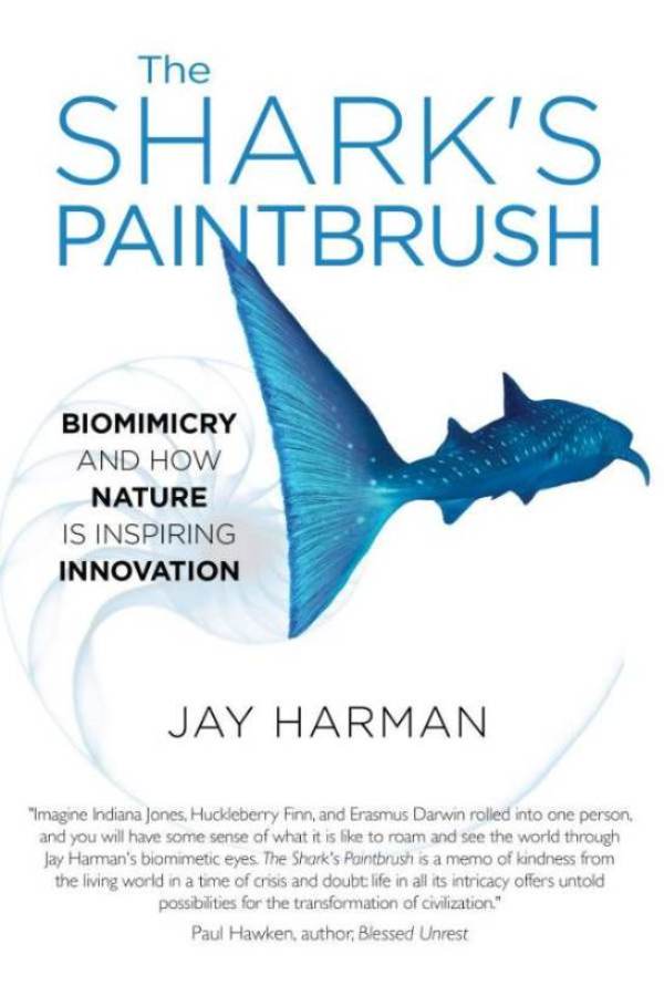 The Shark's Paintbrush book cover with biomimicry theme.