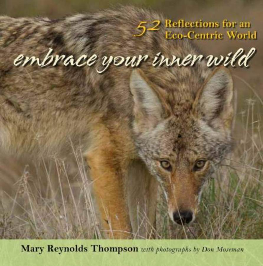 Wild coyote in field, eco-centric reflections book cover for Embrace Your Inner Wild.