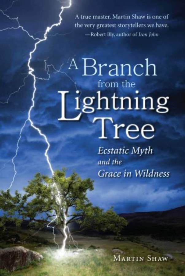 A Branch From the Lightning Tree book cover with tree struck by lightning.